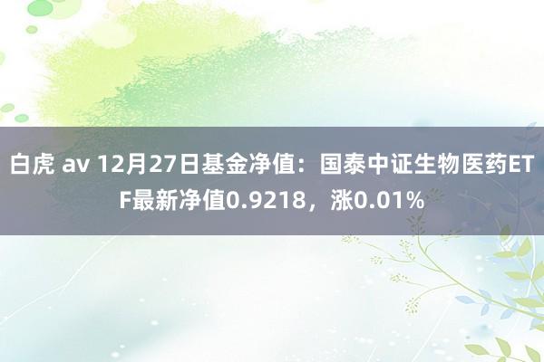白虎 av 12月27日基金净值：国泰中证生物医药ETF最新净值0.9218，涨0.01%