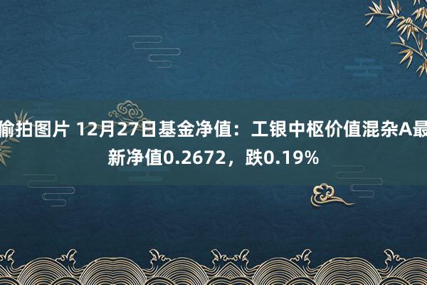 偷拍图片 12月27日基金净值：工银中枢价值混杂A最新净值0.2672，跌0.19%