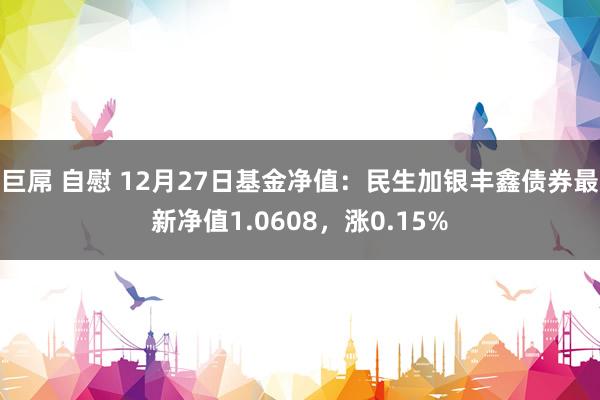 巨屌 自慰 12月27日基金净值：民生加银丰鑫债券最新净值1.0608，涨0.15%