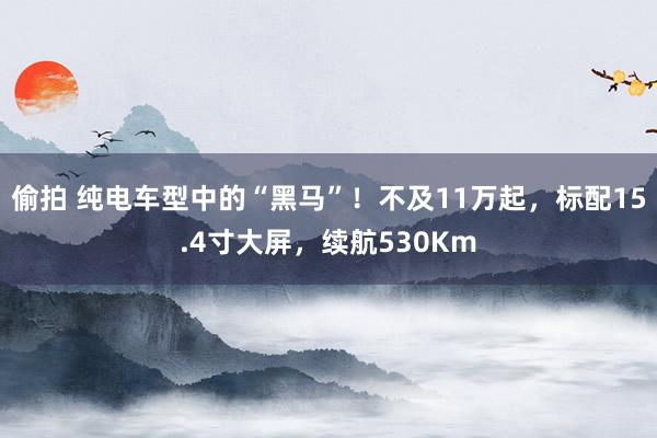 偷拍 纯电车型中的“黑马”！不及11万起，标配15.4寸大屏，续航530Km