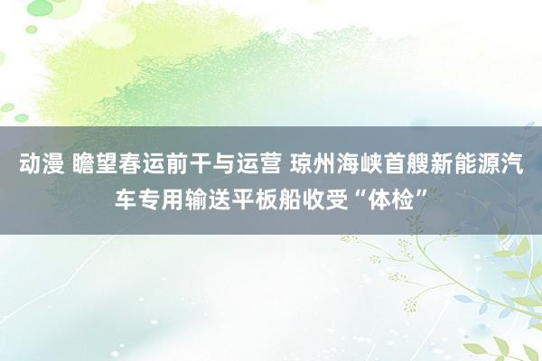 动漫 瞻望春运前干与运营 琼州海峡首艘新能源汽车专用输送平板船收受“体检”