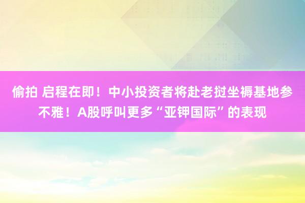 偷拍 启程在即！中小投资者将赴老挝坐褥基地参不雅！A股呼叫更多“亚钾国际”的表现