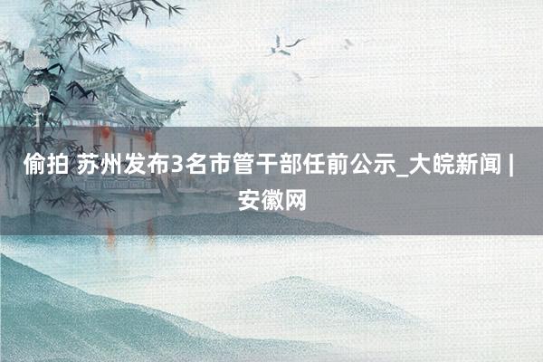 偷拍 苏州发布3名市管干部任前公示_大皖新闻 | 安徽网