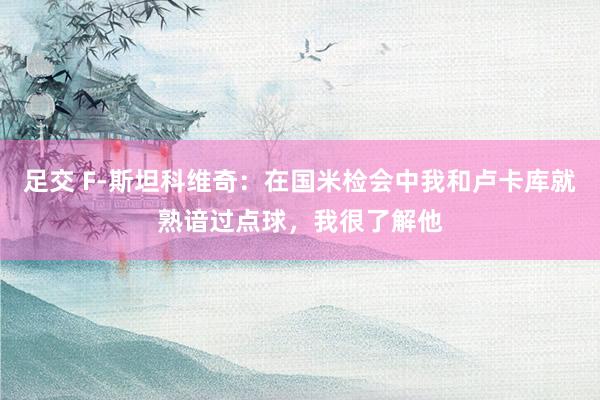 足交 F-斯坦科维奇：在国米检会中我和卢卡库就熟谙过点球，我很了解他