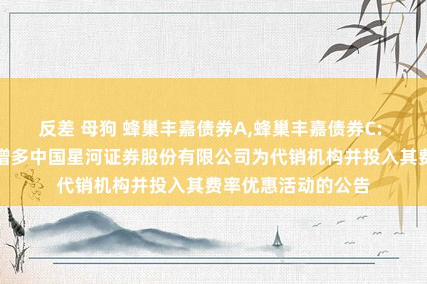 反差 母狗 蜂巢丰嘉债券A，蜂巢丰嘉债券C: 对于旗下部分基金增多中国星河证券股份有限公司为代销机构并投入其费率优惠活动的公告