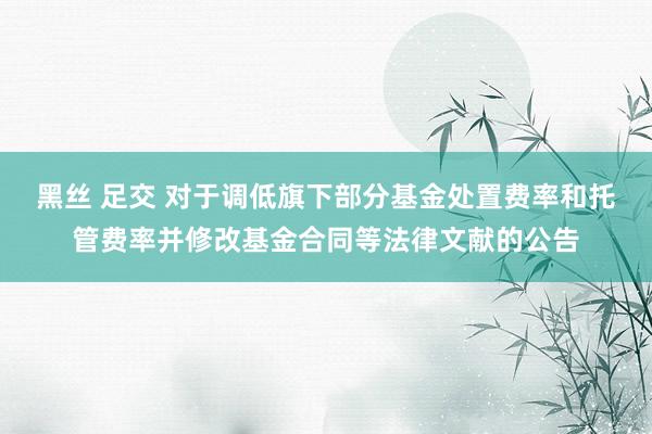 黑丝 足交 对于调低旗下部分基金处置费率和托管费率并修改基金合同等法律文献的公告