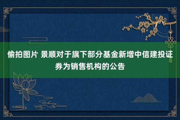 偷拍图片 景顺对于旗下部分基金新增中信建投证券为销售机构的公告
