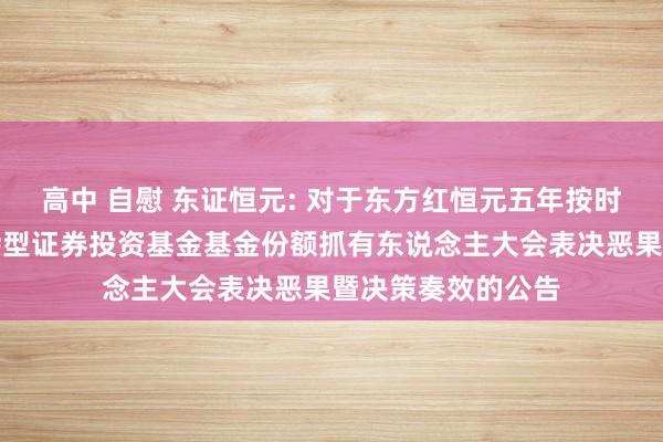 高中 自慰 东证恒元: 对于东方红恒元五年按时灵通纯真建设夹杂型证券投资基金基金份额抓有东说念主大会表决恶果暨决策奏效的公告