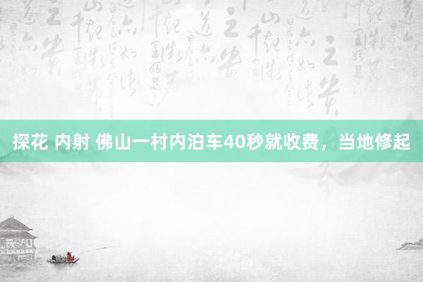 探花 内射 佛山一村内泊车40秒就收费，当地修起