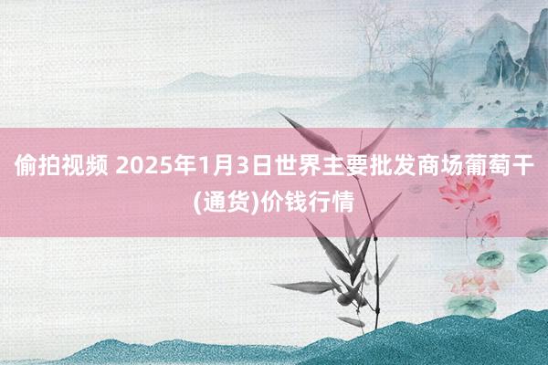 偷拍视频 2025年1月3日世界主要批发商场葡萄干(通货)价钱行情