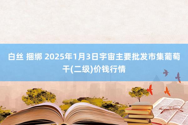 白丝 捆绑 2025年1月3日宇宙主要批发市集葡萄干(二级)价钱行情