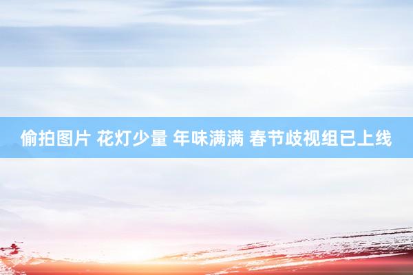 偷拍图片 花灯少量 年味满满 春节歧视组已上线