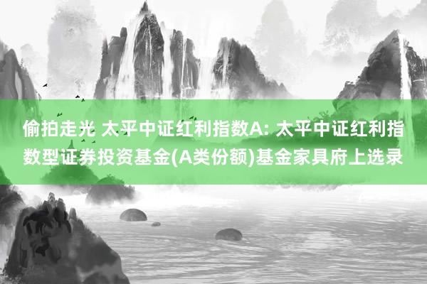 偷拍走光 太平中证红利指数A: 太平中证红利指数型证券投资基金(A类份额)基金家具府上选录
