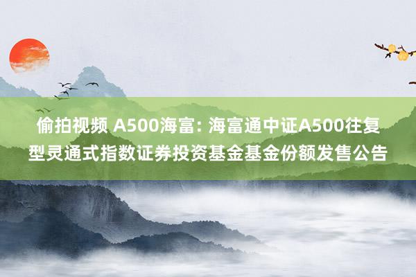 偷拍视频 A500海富: 海富通中证A500往复型灵通式指数证券投资基金基金份额发售公告