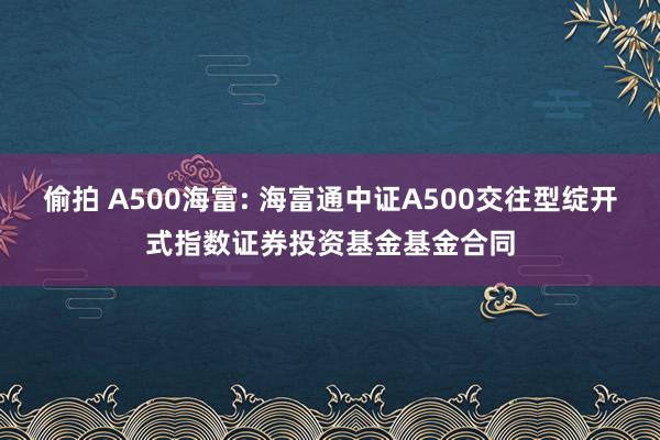 偷拍 A500海富: 海富通中证A500交往型绽开式指数证券投资基金基金合同