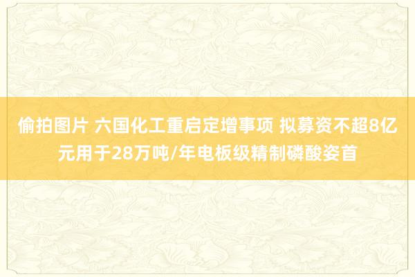 偷拍图片 六国化工重启定增事项 拟募资不超8亿元用于28万吨/年电板级精制磷酸姿首