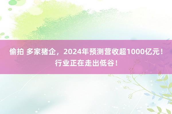 偷拍 多家猪企，2024年预测营收超1000亿元！行业正在走出低谷！