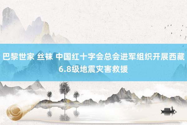 巴黎世家 丝袜 中国红十字会总会进军组织开展西藏6.8级地震灾害救援