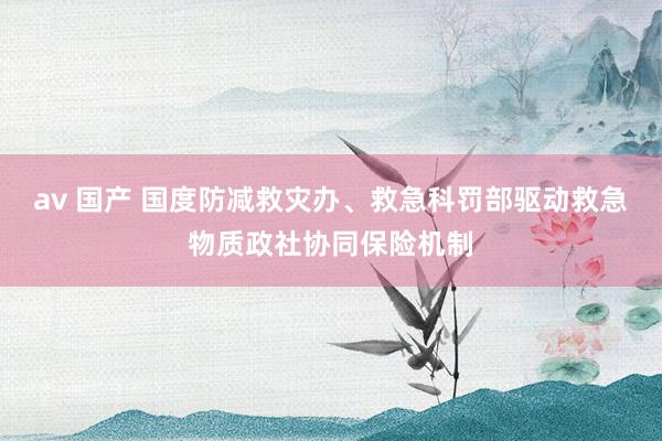 av 国产 国度防减救灾办、救急科罚部驱动救急物质政社协同保险机制
