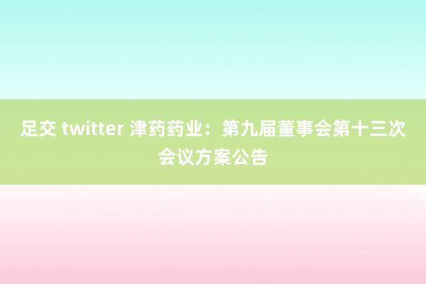 足交 twitter 津药药业：第九届董事会第十三次会议方案公告