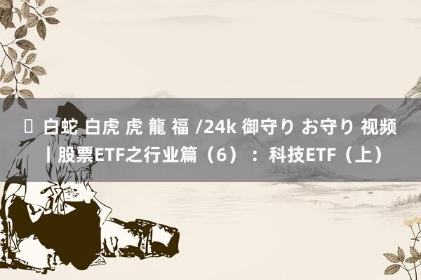 ✨白蛇 白虎 虎 龍 福 /24k 御守り お守り 视频丨股票ETF之行业篇（6） ：科技ETF（上）