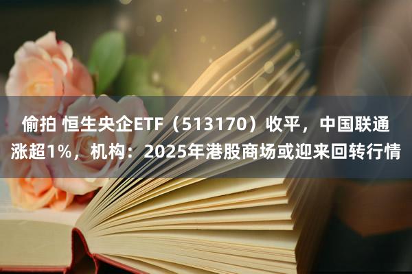 偷拍 恒生央企ETF（513170）收平，中国联通涨超1%，机构：2025年港股商场或迎来回转行情