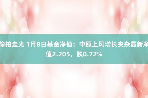 偷拍走光 1月8日基金净值：中原上风增长夹杂最新净值2.205，跌0.72%