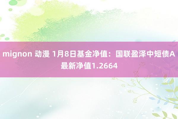 mignon 动漫 1月8日基金净值：国联盈泽中短债A最新净值1.2664