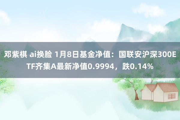 邓紫棋 ai换脸 1月8日基金净值：国联安沪深300ETF齐集A最新净值0.9994，跌0.14%