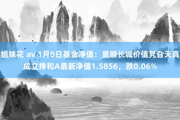 姐妹花 av 1月8日基金净值：景顺长城价值旯旮天真成立搀和A最新净值1.5856，跌0.06%