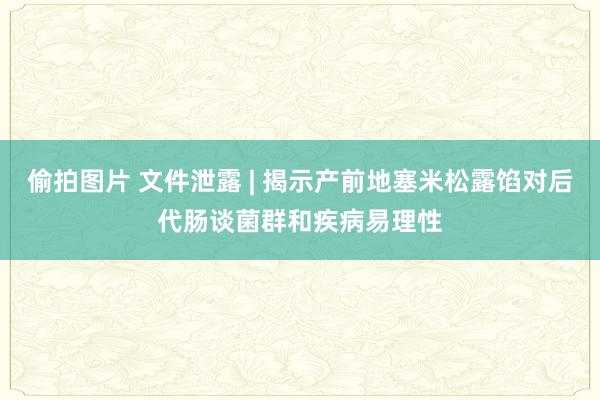 偷拍图片 文件泄露 | 揭示产前地塞米松露馅对后代肠谈菌群和疾病易理性