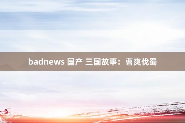 badnews 国产 三国故事：曹爽伐蜀