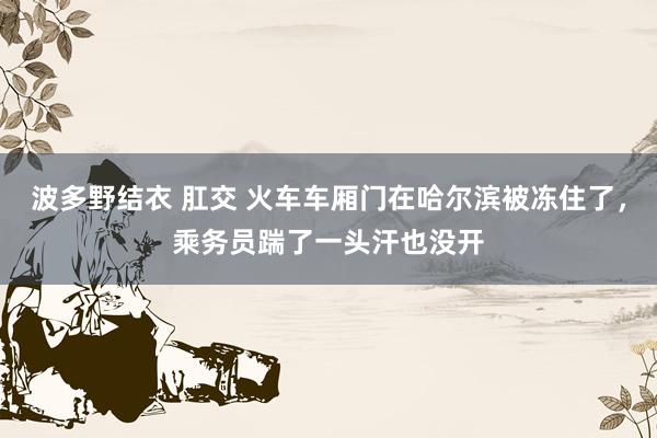 波多野结衣 肛交 火车车厢门在哈尔滨被冻住了，乘务员踹了一头汗也没开