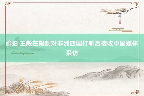 偷拍 王毅在限制对非洲四国打听后接收中国媒体采访