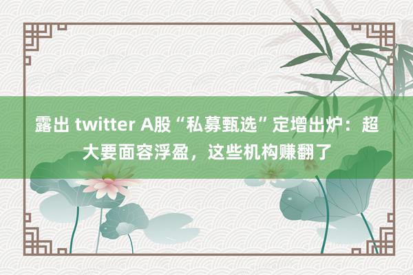 露出 twitter A股“私募甄选”定增出炉：超大要面容浮盈，这些机构赚翻了