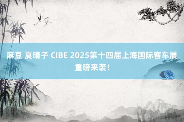 麻豆 夏晴子 CIBE 2025第十四届上海国际客车展重磅来袭！