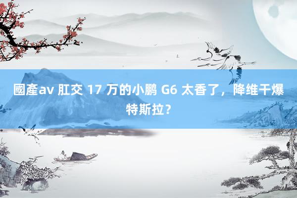 國產av 肛交 17 万的小鹏 G6 太香了，降维干爆特斯拉？
