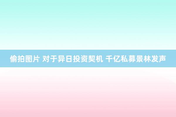 偷拍图片 对于异日投资契机 千亿私募景林发声