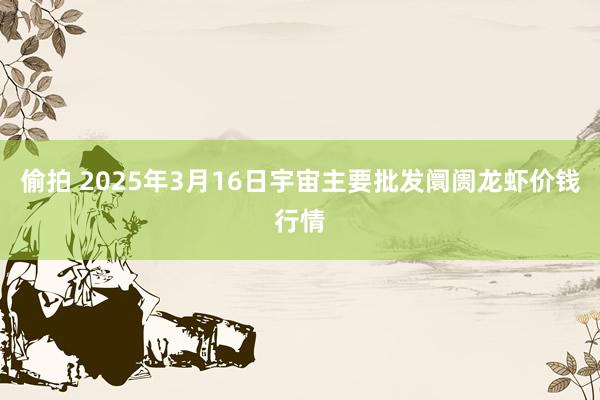 偷拍 2025年3月16日宇宙主要批发阛阓龙虾价钱行情