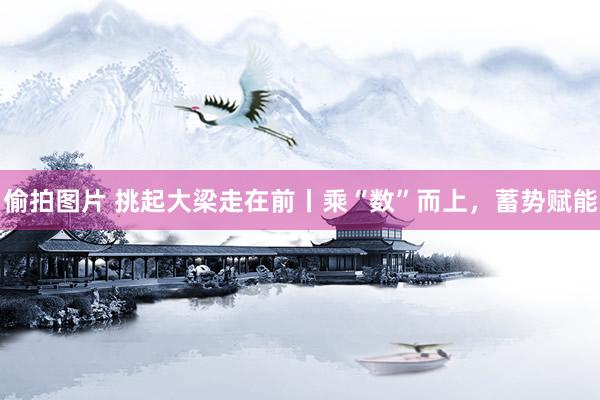 偷拍图片 挑起大梁走在前丨乘“数”而上，蓄势赋能