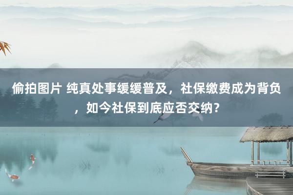偷拍图片 纯真处事缓缓普及，社保缴费成为背负，如今社保到底应否交纳？