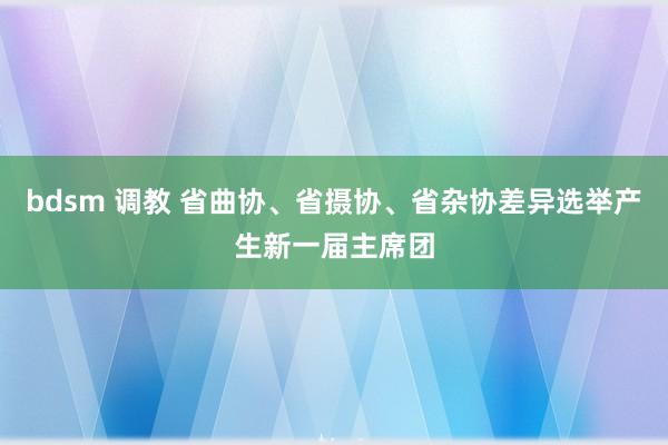 bdsm 调教 省曲协、省摄协、省杂协差异选举产生新一届主席团