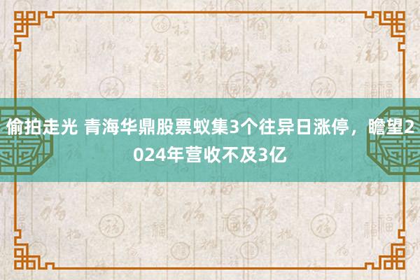 偷拍走光 青海华鼎股票蚁集3个往异日涨停，瞻望2024年营收不及3亿