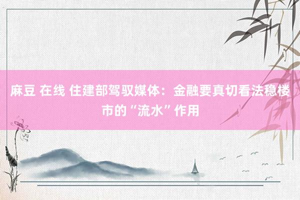 麻豆 在线 住建部驾驭媒体：金融要真切看法稳楼市的“流水”作用