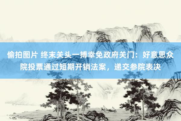 偷拍图片 终末关头一搏幸免政府关门：好意思众院投票通过短期开销法案，递交参院表决