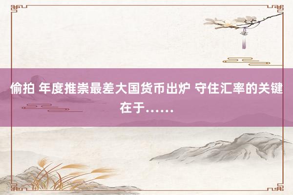 偷拍 年度推崇最差大国货币出炉 守住汇率的关键在于……
