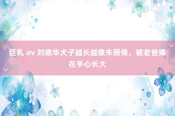 巨乳 av 刘德华犬子越长越像朱丽倩，被老爸捧在手心长大