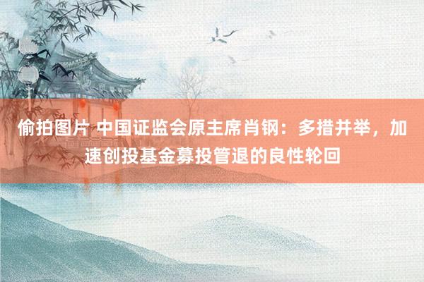 偷拍图片 中国证监会原主席肖钢：多措并举，加速创投基金募投管退的良性轮回