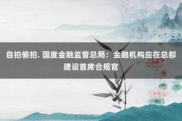 自拍偷拍. 国度金融监管总局：金融机构应在总部建设首席合规官