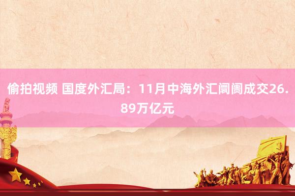 偷拍视频 国度外汇局：11月中海外汇阛阓成交26.89万亿元